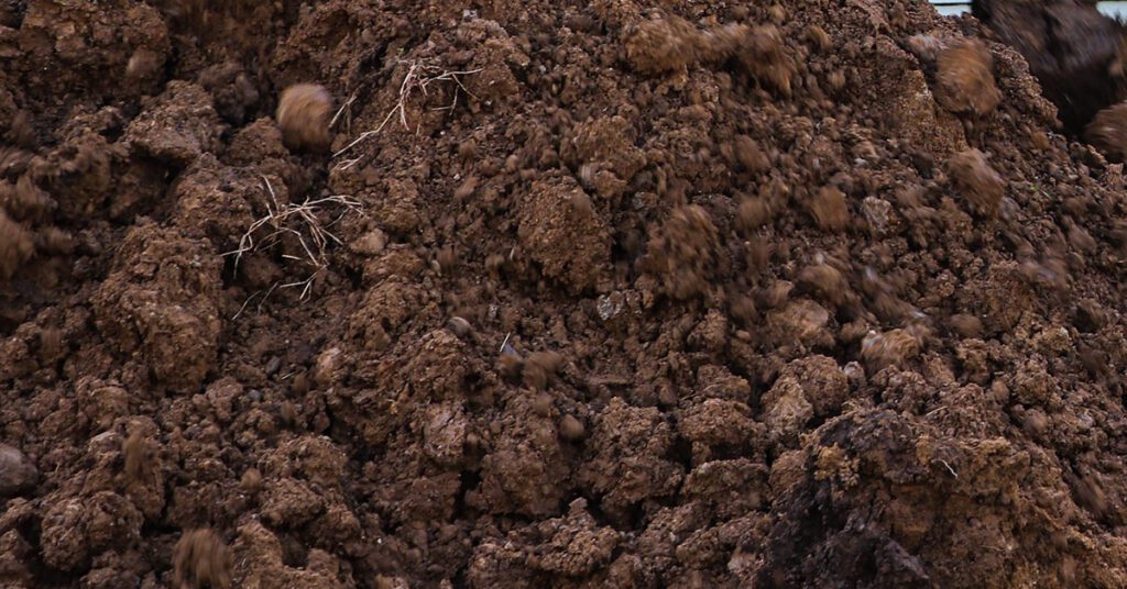خاک - روایح عجیب عطر ها - وبلاگ پاپروک