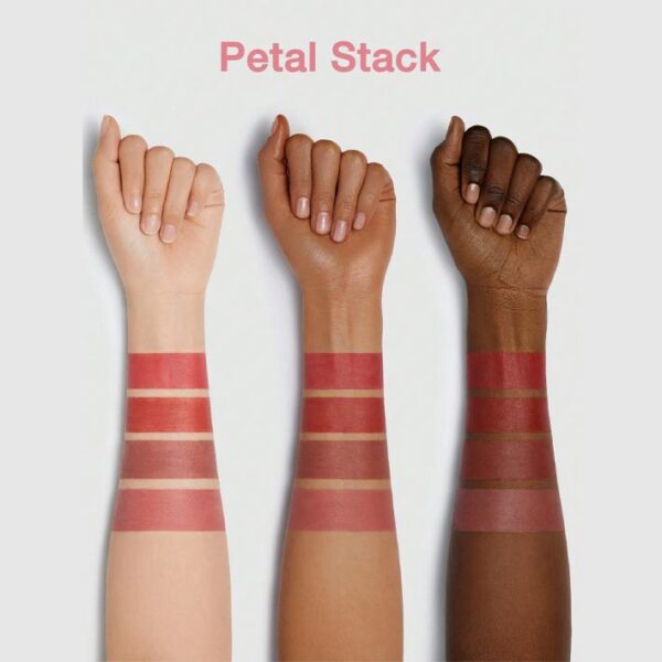 رژ لب 4 در 1 شیگلم Mega رنگ Pink Petal