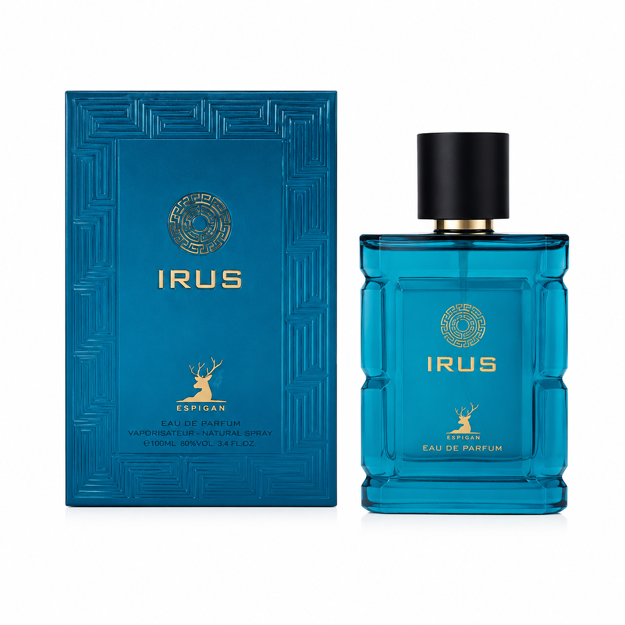0b2e9d99-488d-4d1e-bdc0-34fdaad94200 عطر مردانه اسپیگان ایروس 100 میل - Image 1