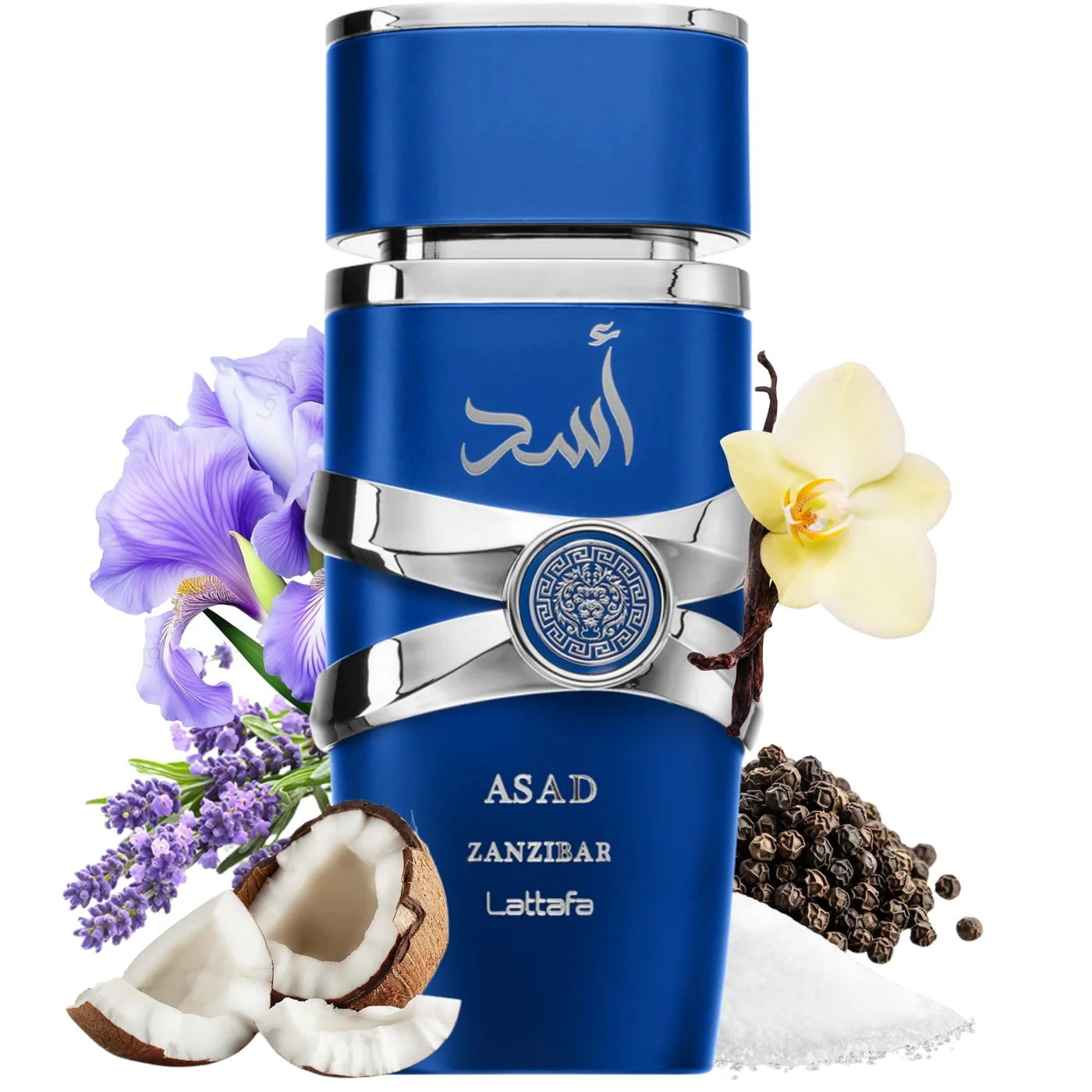 lattafa-asad-zanzibar-eau-de-parfum-100ml ادو پرفیوم مردانه لطافه مدل Asad Zanzibar حجم 100 میلی لیتر